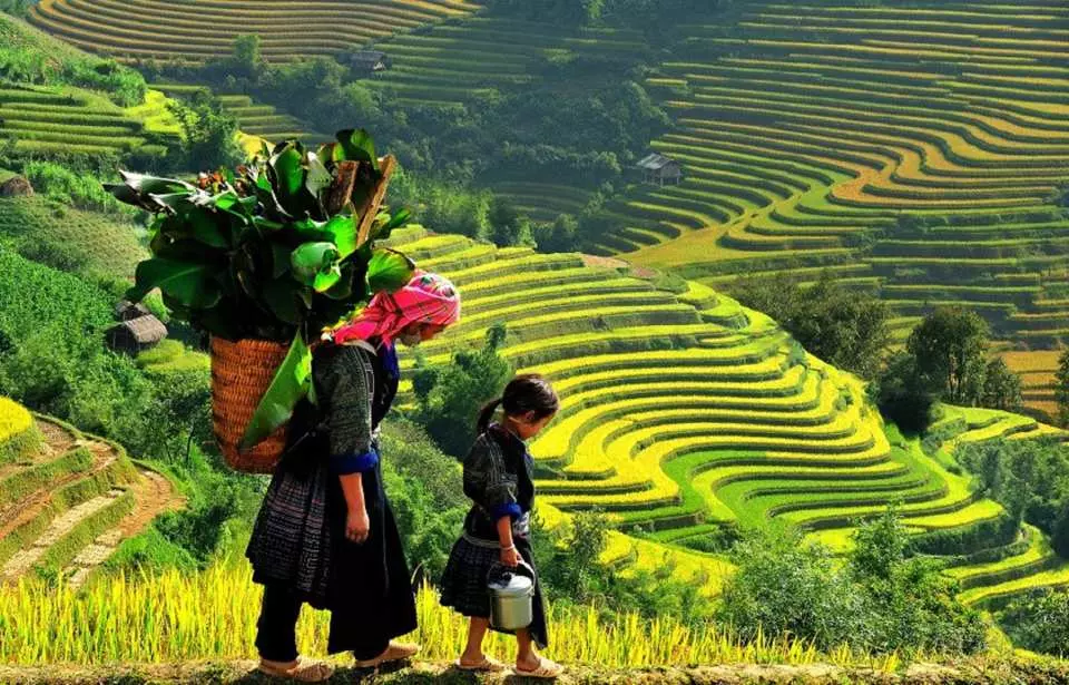 BBK Travel: Chinh Phục 
